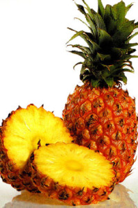 ANANAS-COP1-Copia