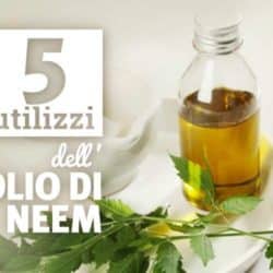 neem proprietà